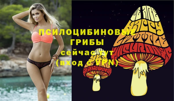 таблы Абаза